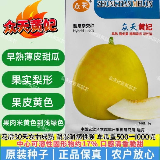 沭阳县众天黄妃甜瓜种子薄皮早熟脆酥香甜梨形黄皮香瓜种籽脆甜水果种子