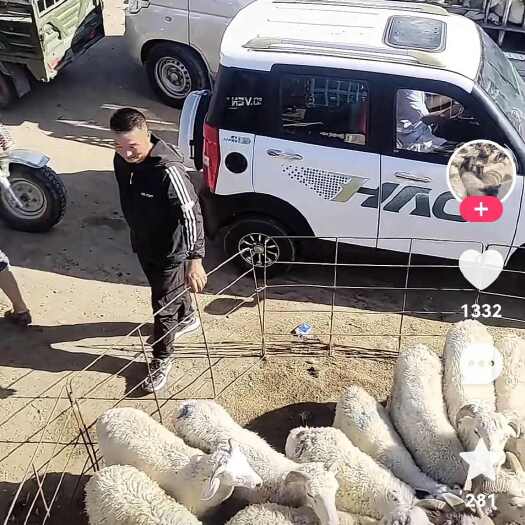 吴忠羊
