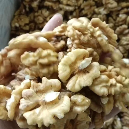新疆阿克苏优质头路核桃仁  新疆直达 快速发货