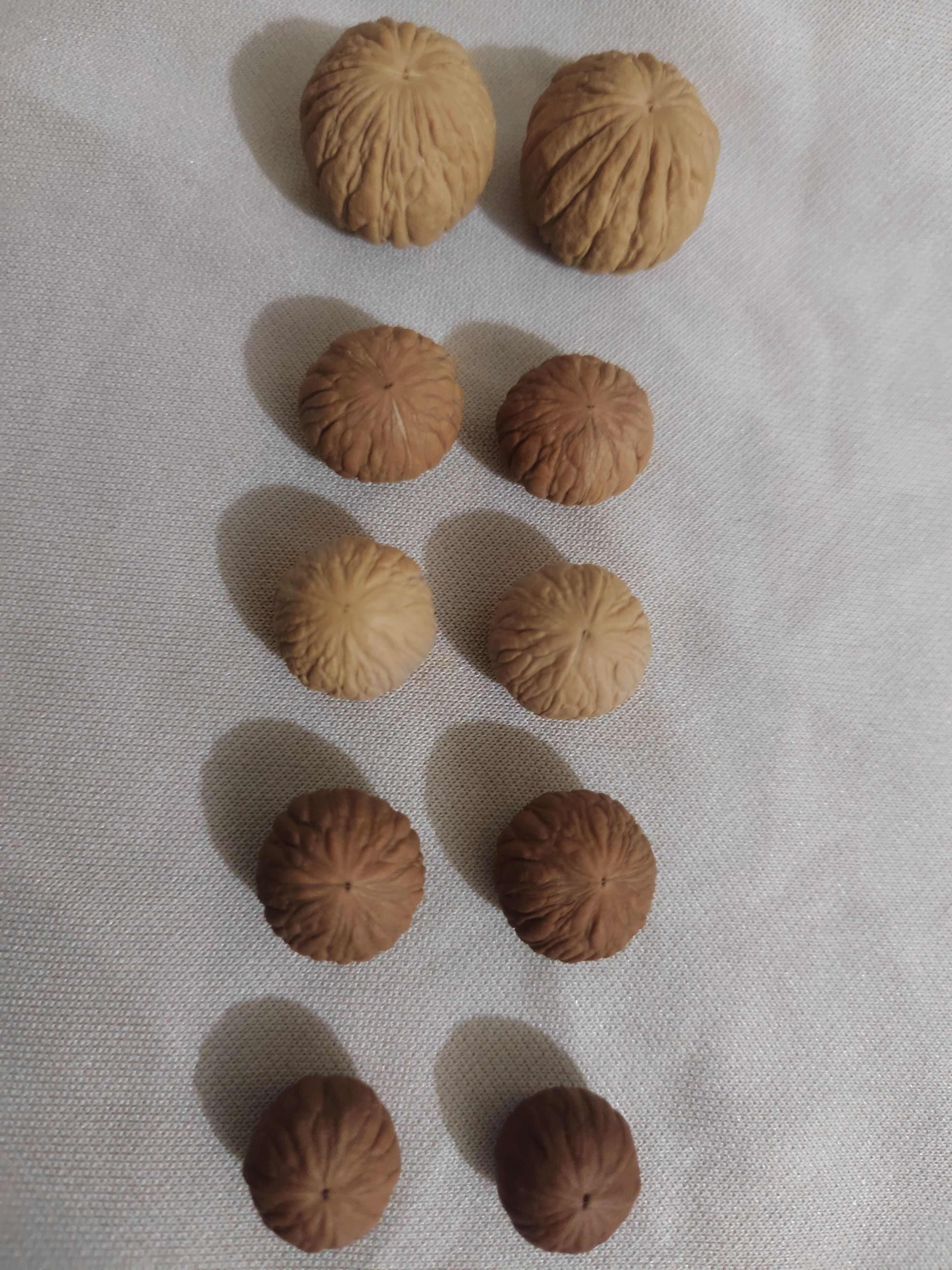 文玩核桃 金牛 Pair of Match Chinese Health Walnut 40×40×37mm精配文玩核桃