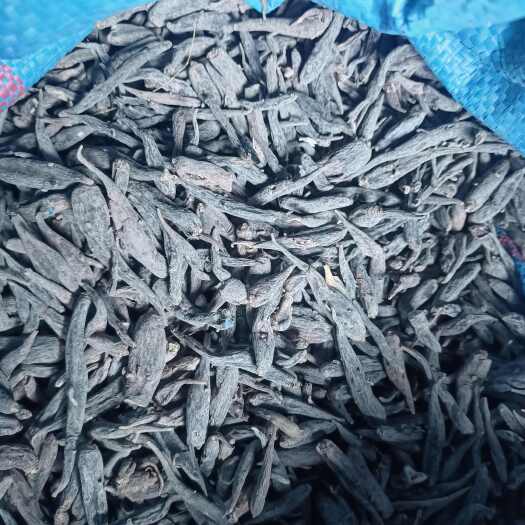 洱源县双肾参    一手货源，纯晒品，质量保证！