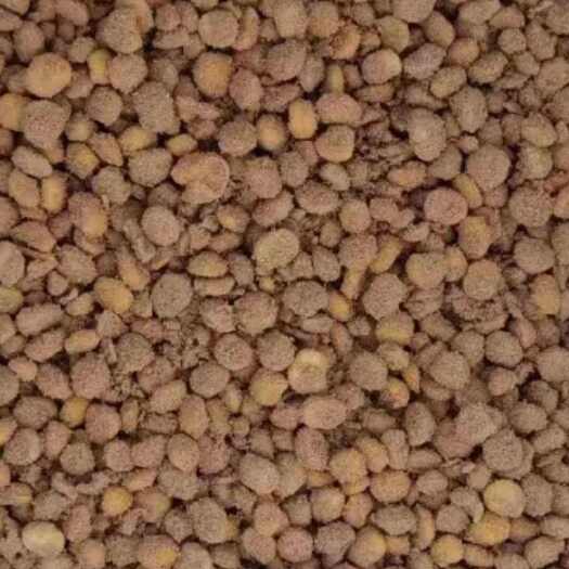 定州市发酵大豆 腐熟大豆 发酵大豆菌肥 发酵原大豆 发酵大豆厂家
