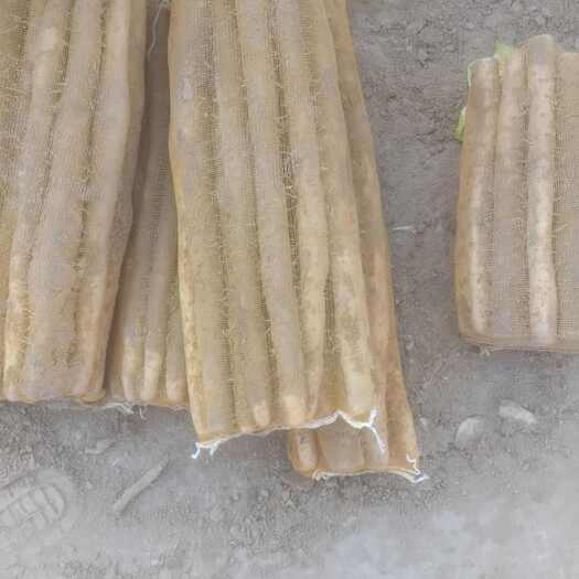 安平县白山药 紫药 帮药