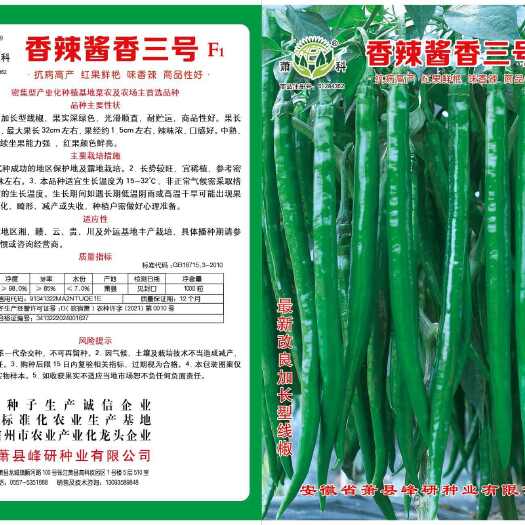 萧县香辣酱香三号  抗病  红色鲜艳   密集型产业化种植