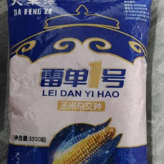 雷丹1号抗倒扶抗旱耐涝不秃尖产量高