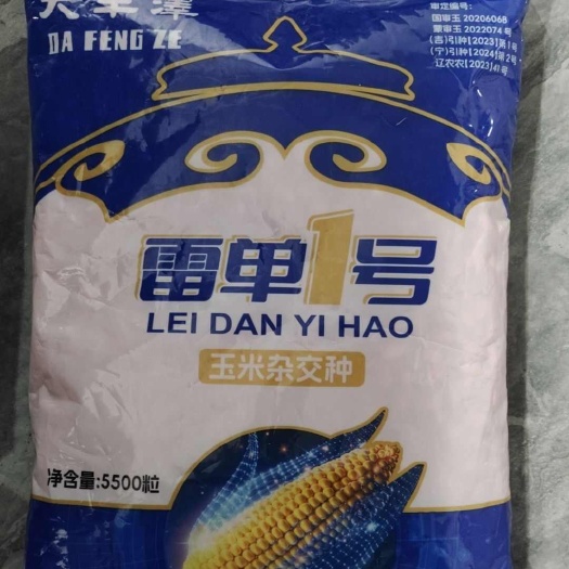 沈阳雷丹1号抗倒扶抗旱耐涝不秃尖产量高