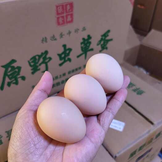 长沙县新杨黑粉壳土鸡蛋 蛋黄大 蒸煮金黄色增香口感好