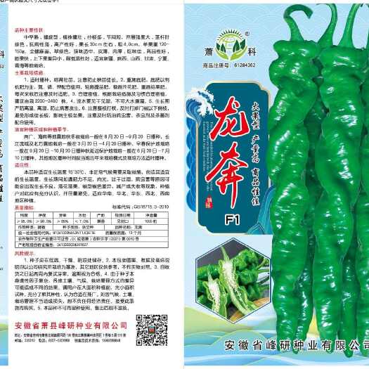 萧县龙奔  精品