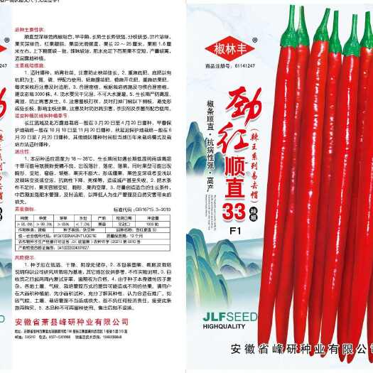 萧县劲红顺直33  顺直型   早中熟   分枝较多   辣味