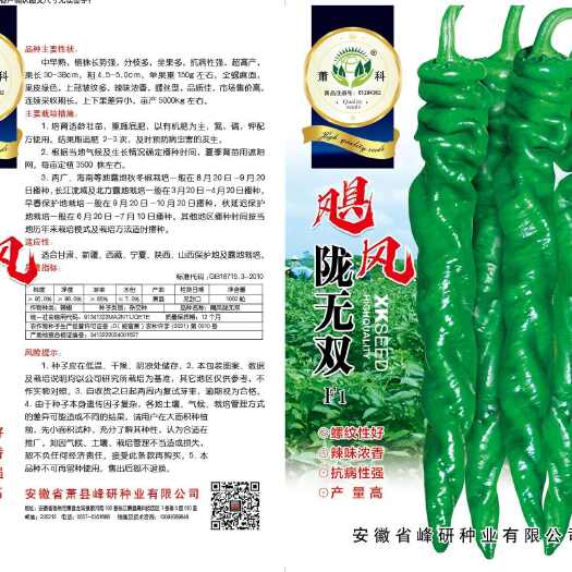 萧县飓风   陇F1