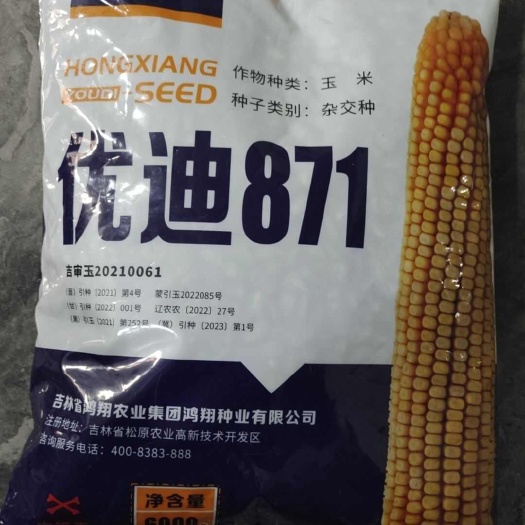 沈阳优迪871抗倒扶抗旱耐涝不秃尖棒子大产量高