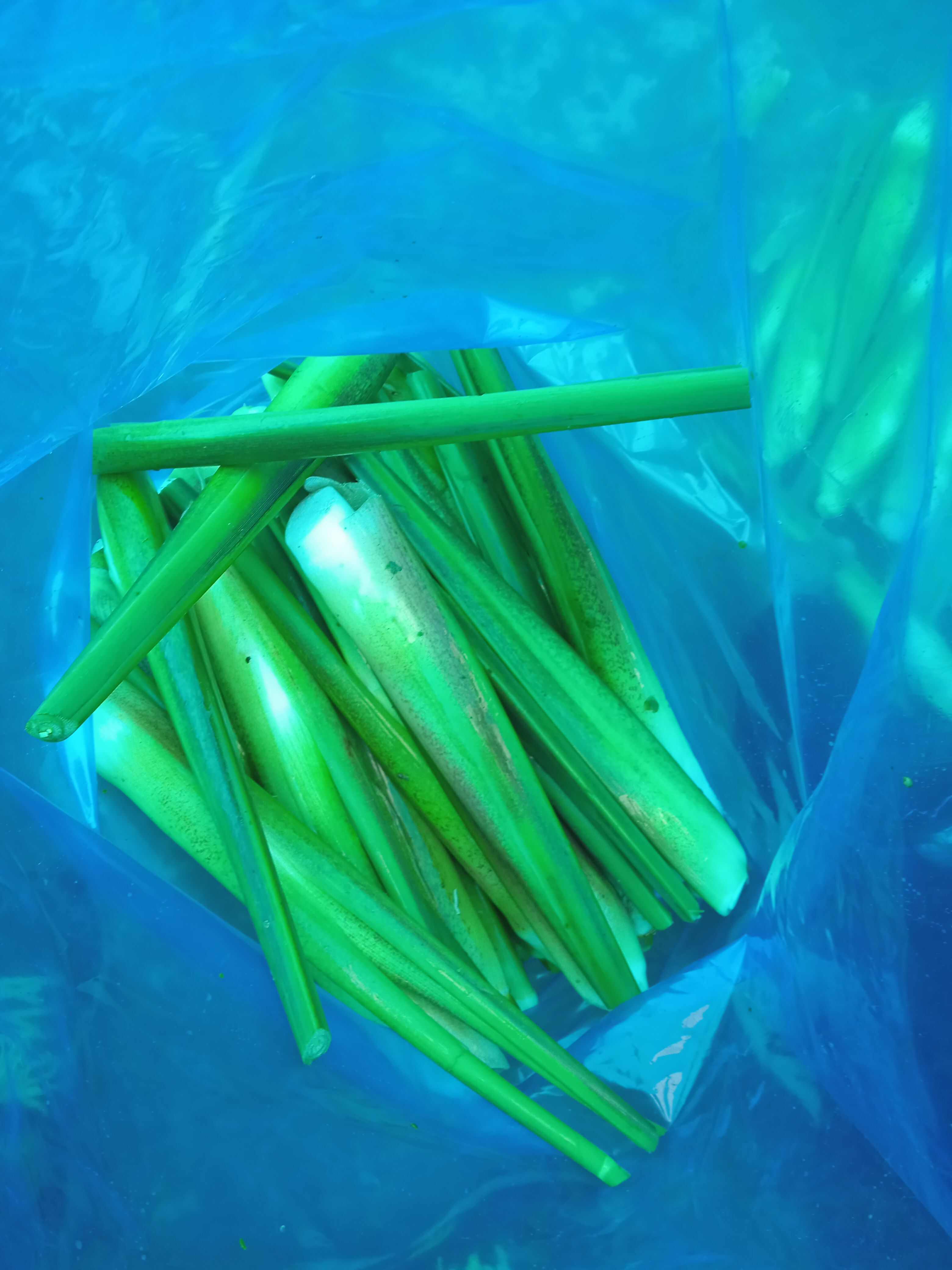 电商茭白，精品茭白量大，可持续供货