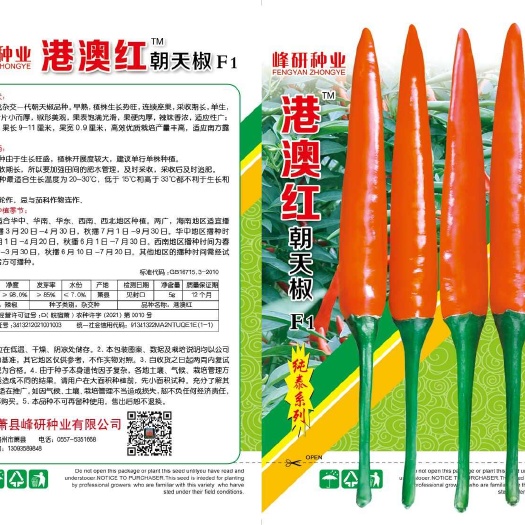 萧县港澳红朝天椒   纯泰系列  早熟   采收期长