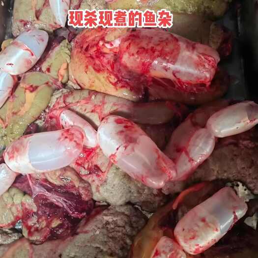菏泽鱼籽鱼泡