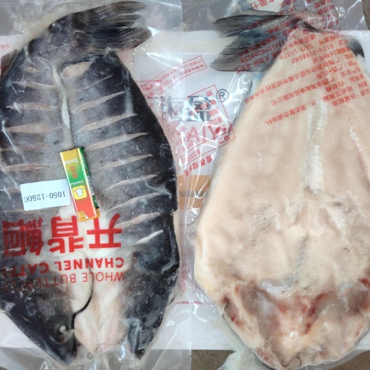 青岛吊炉烤鱼 烤鱼连锁店 腌制清江鱼 斑点叉尾鮰鱼 出餐率高