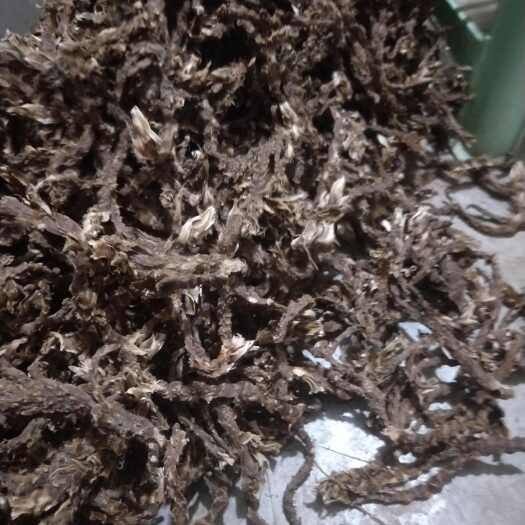 高县宽心红心石菖蒲，无须无毛，精品，长期供应鲜货，干货！