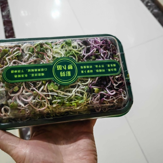 彩色萝卜芽