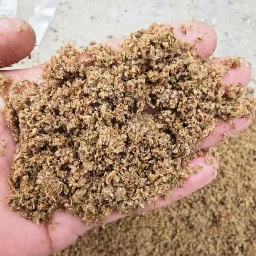 鱼台县啤酒糟，白酒糟！玉米发酵饲料！大量现货！