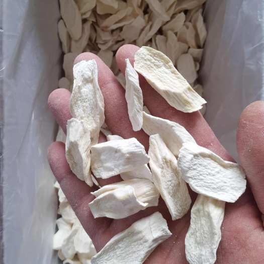 亳州无硫怀山药 山药片 现货批发 山药马蹄片 大量供应 货真价实