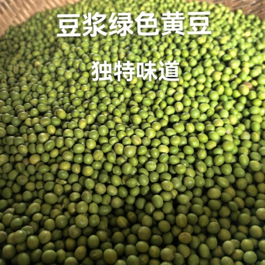 绿颜色黄豆（豆浆豆）独特味道留种子的绿黄豆