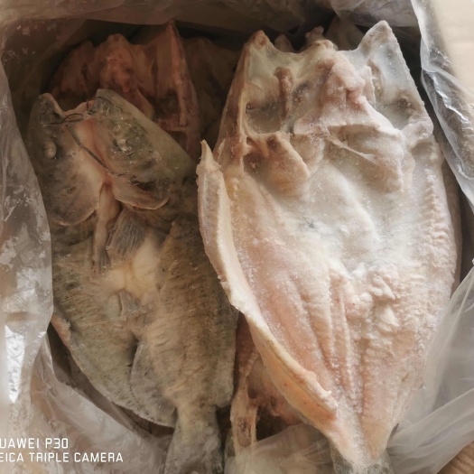 湛江清江鱼开背