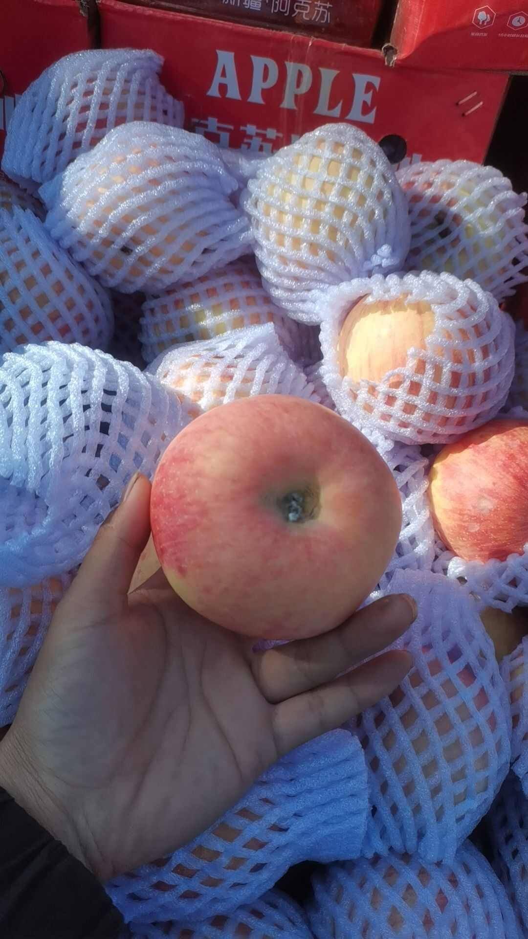 从新疆阿克苏苹果