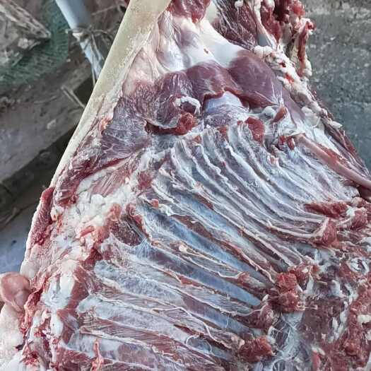 威宁县羊肉