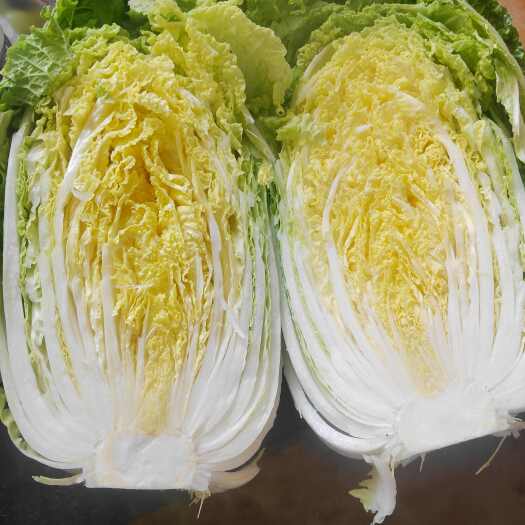  黄心大白菜