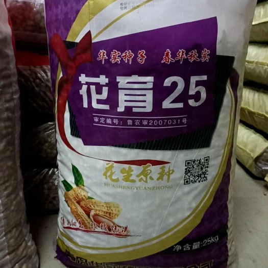 民权县花育25  原种品质  大果品种 华实种苗
花生芽菜供应商