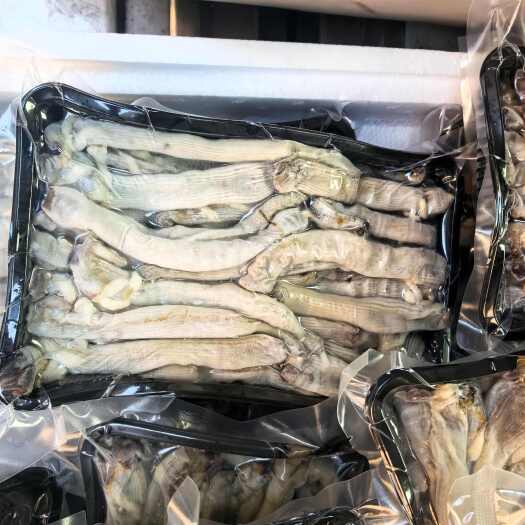 东港市沙虫 冻肉 活虫冻的 450g一盒