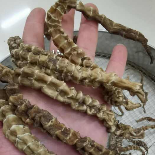 昆明地参，虫草参新货，价格有优势