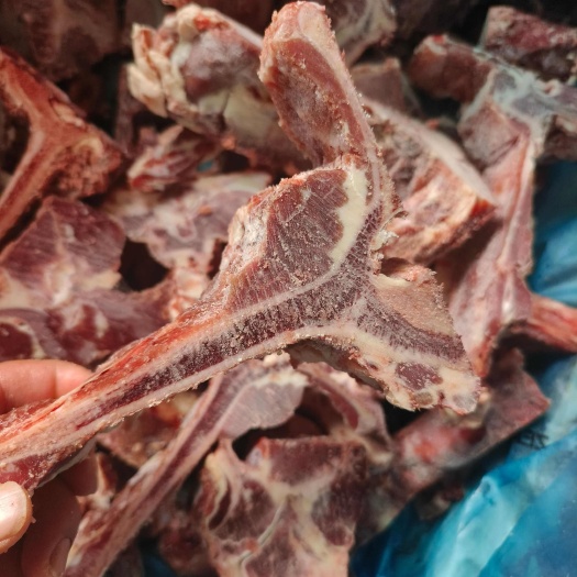 商丘牛背排