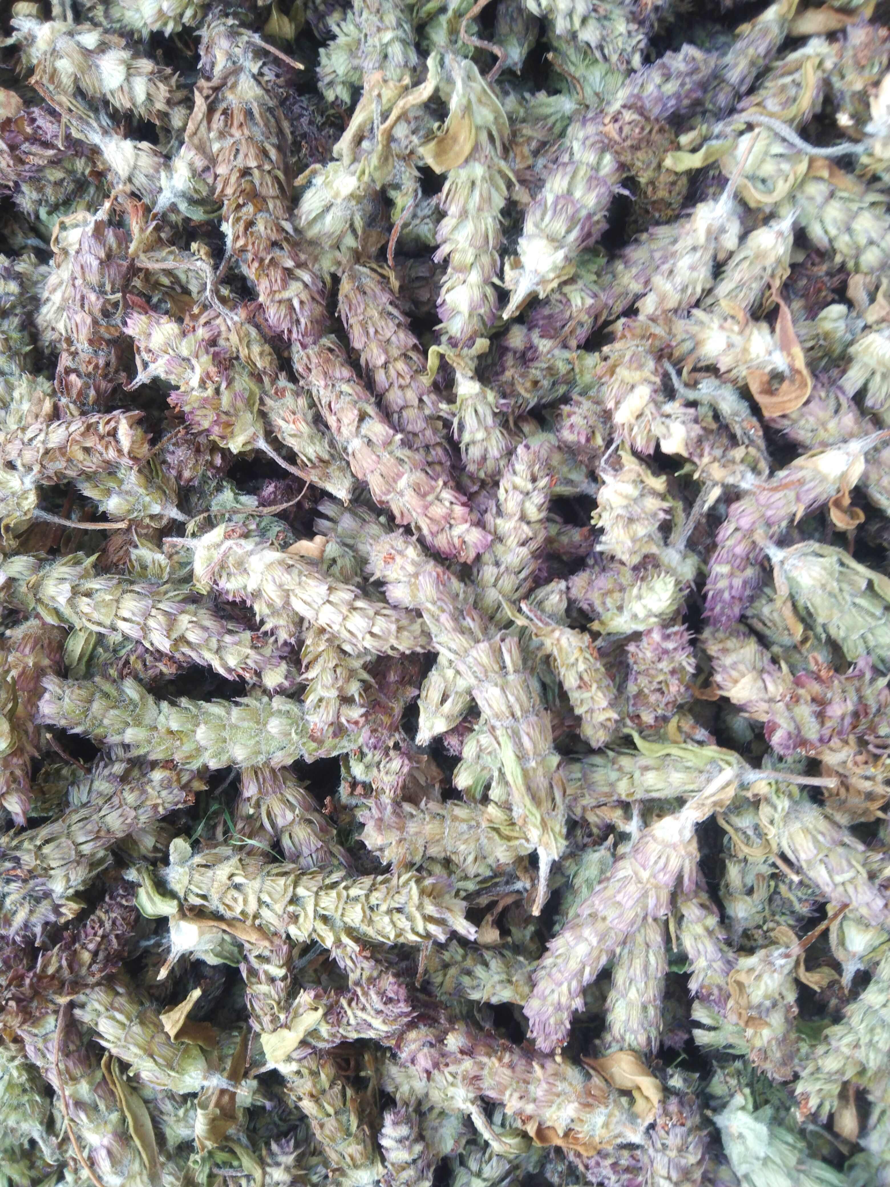 青花夏枯草 ，夏枯球，产地直供货源，品质优，有大货量大从优