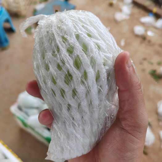 湛江红心番石榴（红心芭乐）