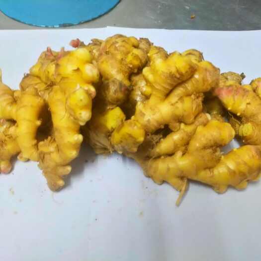 环江县生姜（小黄姜）