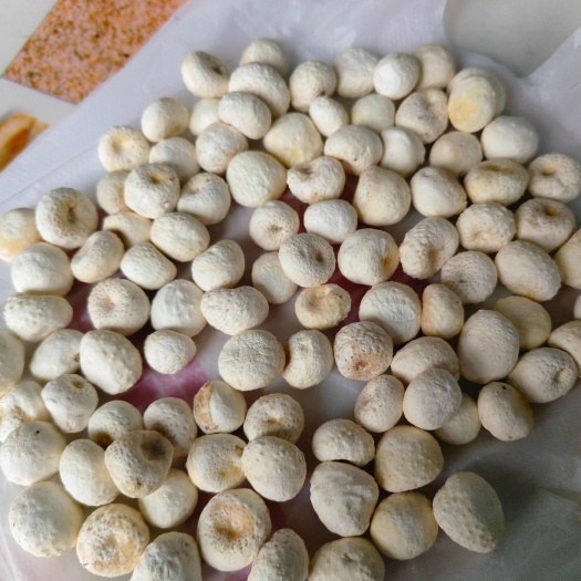 威宁县半夏种子现货 有硫无硫的都有如图所示所见即所得，纯太阳晒干