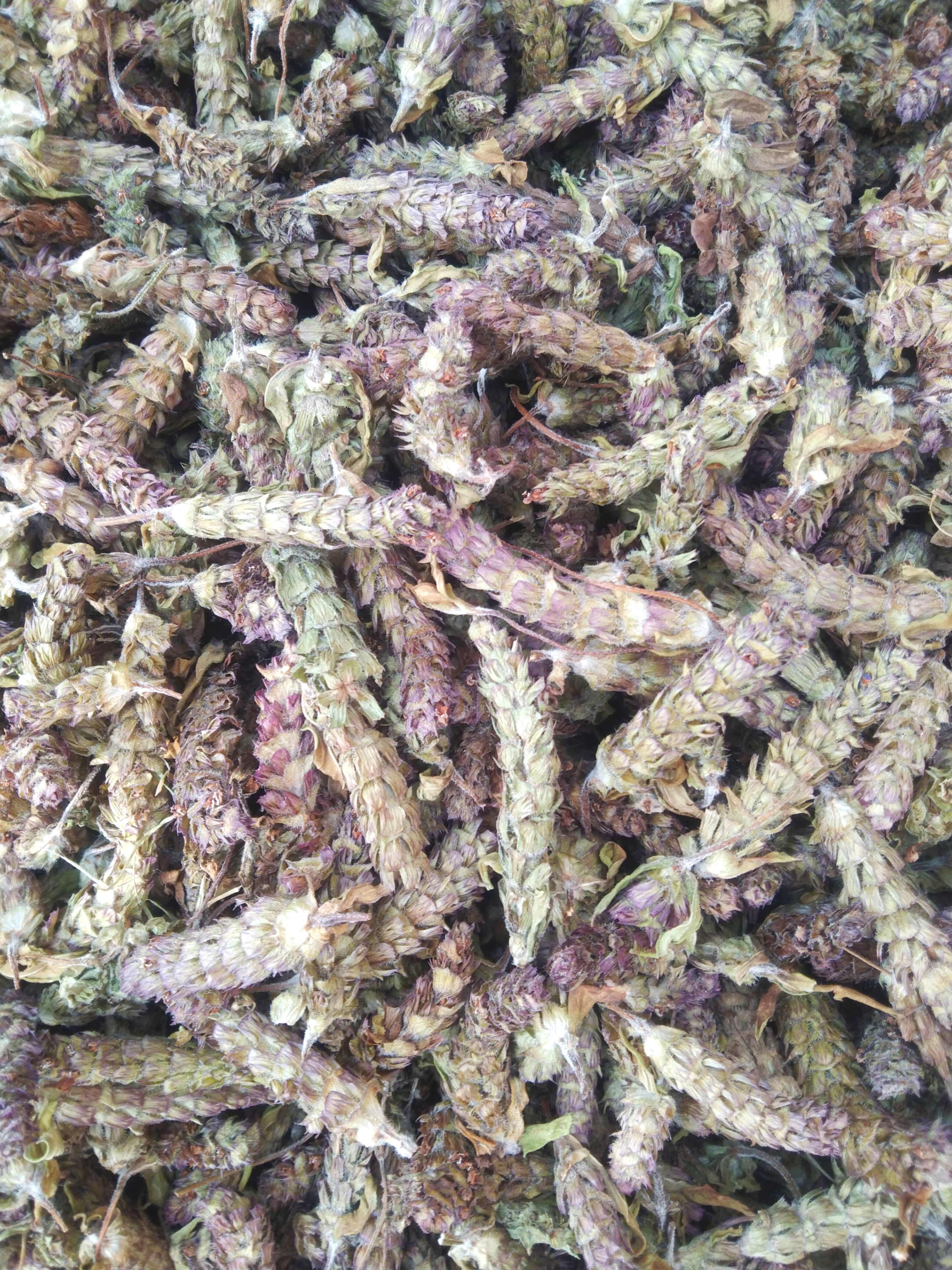 青花夏枯草 ，夏枯球，产地直供货源，品质优，有大货量大从优