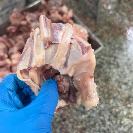 临沂鸡壳