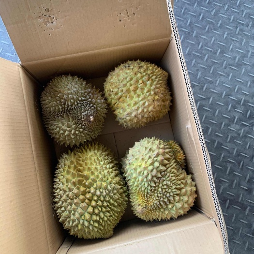 佛山液氮金枕AB果，液氮干尧A果，大量现货，电商可用
