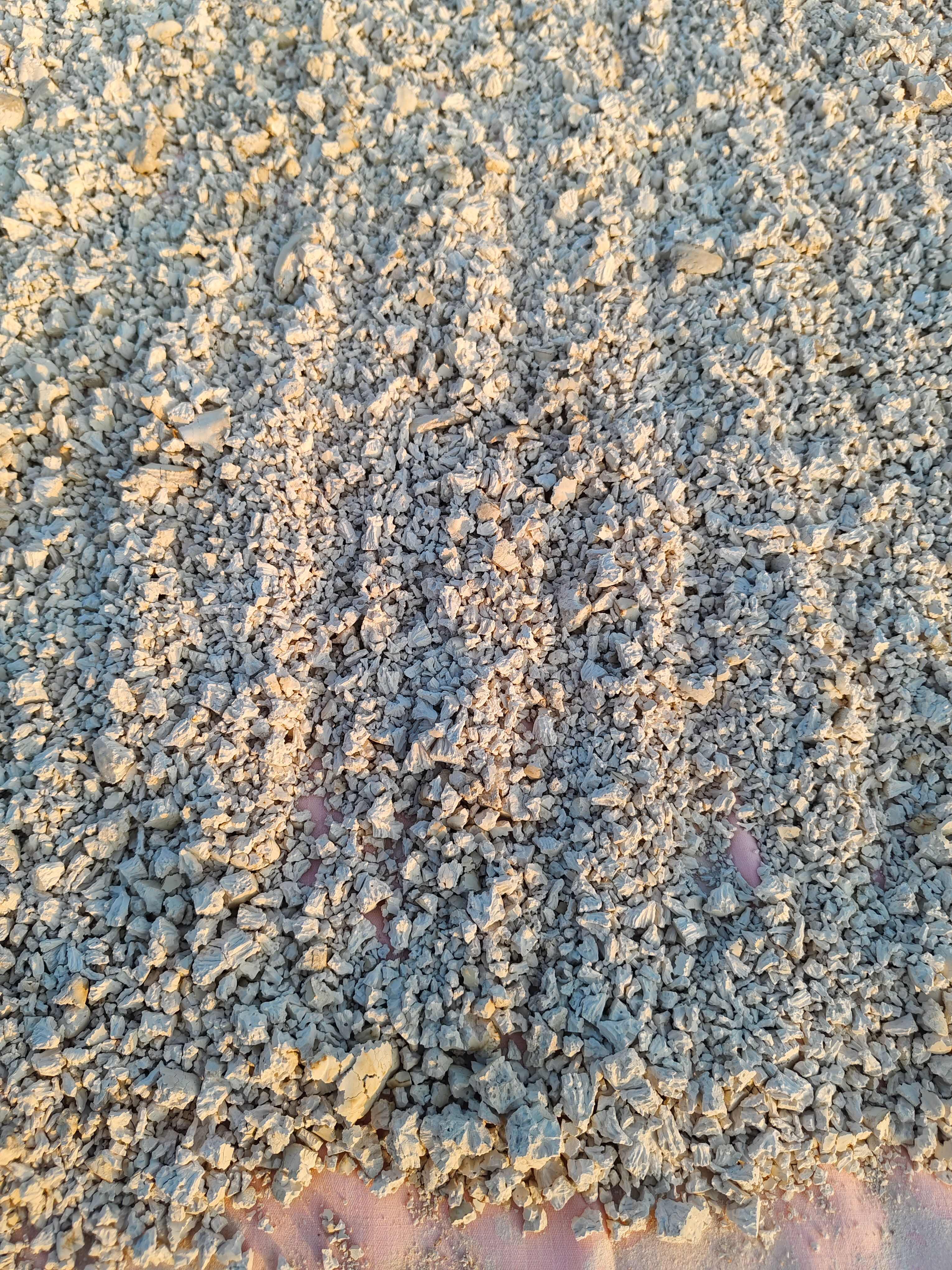 橡子仁择子板鸳鸯果仁小米橡择子豆腐择子粉野生新货