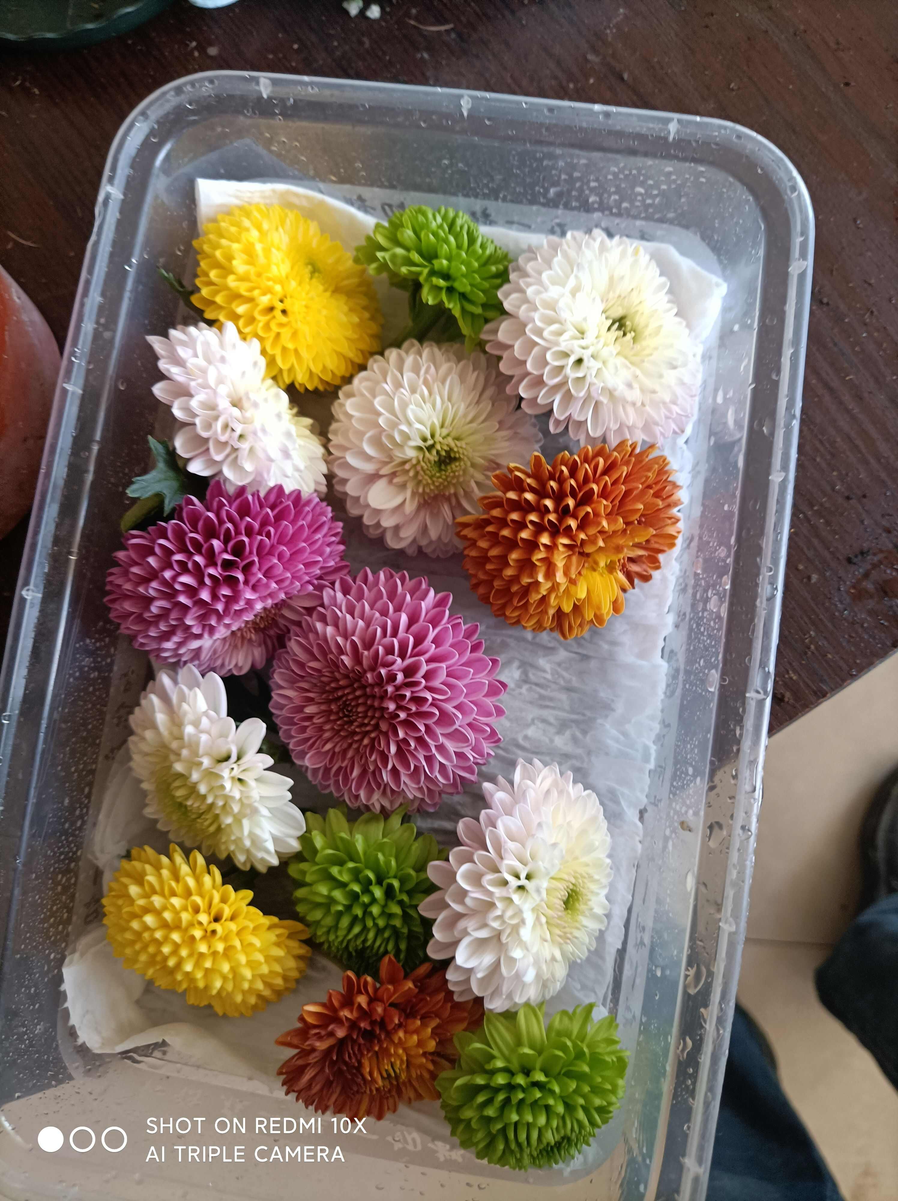 喀喇沁旗乒乓菊 盒装