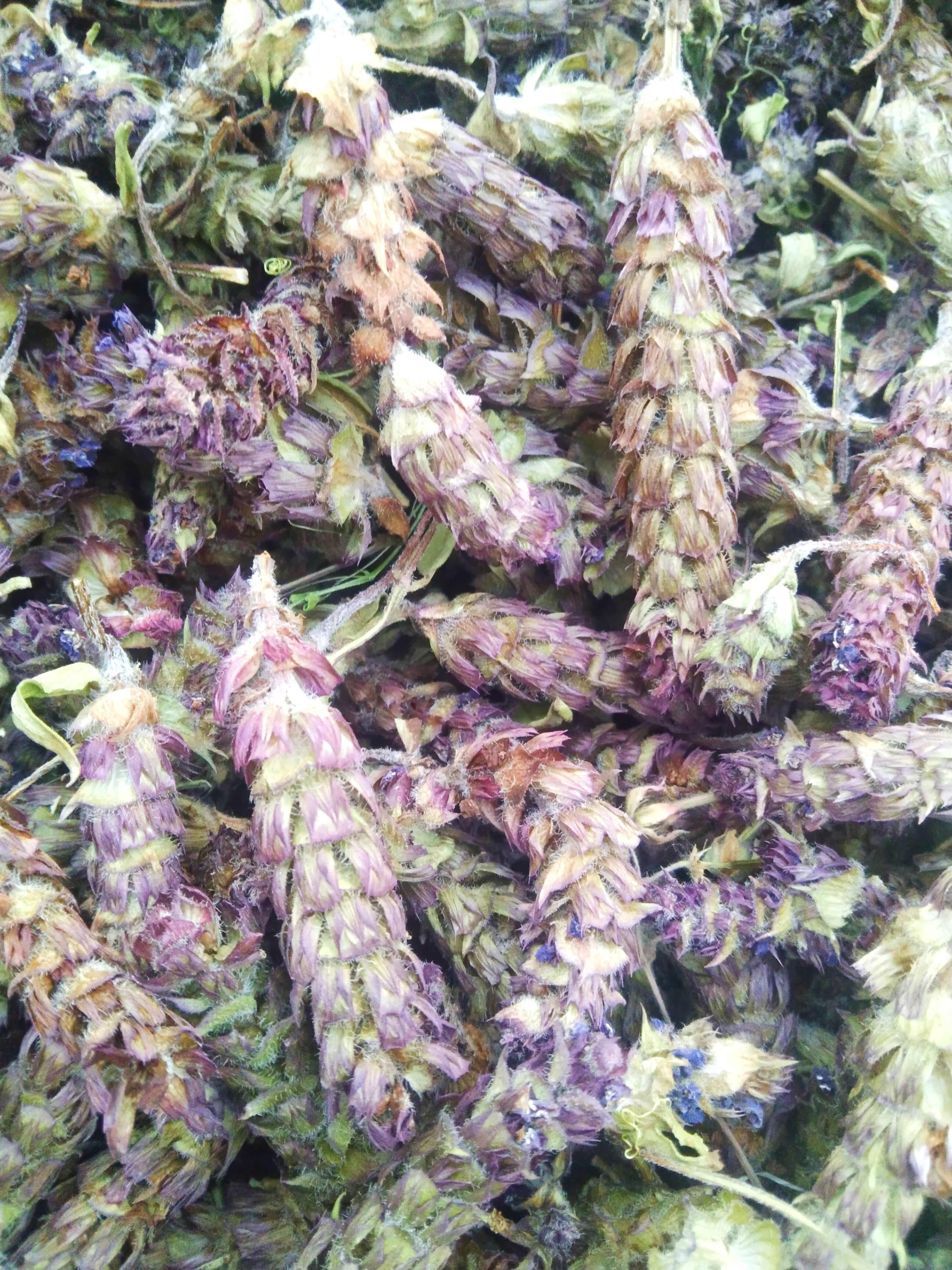 青花夏枯草 ，夏枯球，产地直供货源，品质优，有大货量大从优