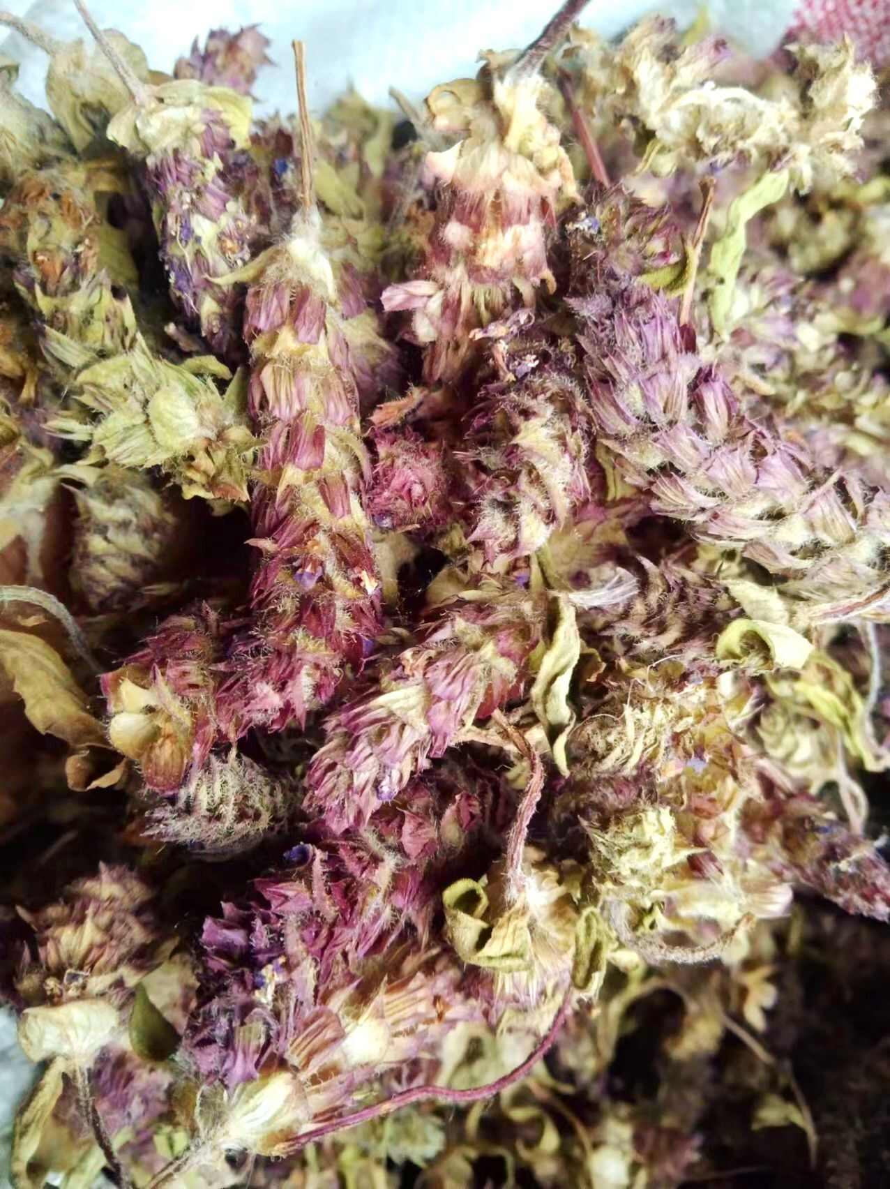 青花夏枯草 ，夏枯球，产地直供货源，品质优，有大货量大从优