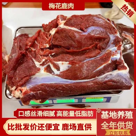 吉林双阳 梅花鹿肉 批发38一斤 只做鲜鹿肉 假一赔十