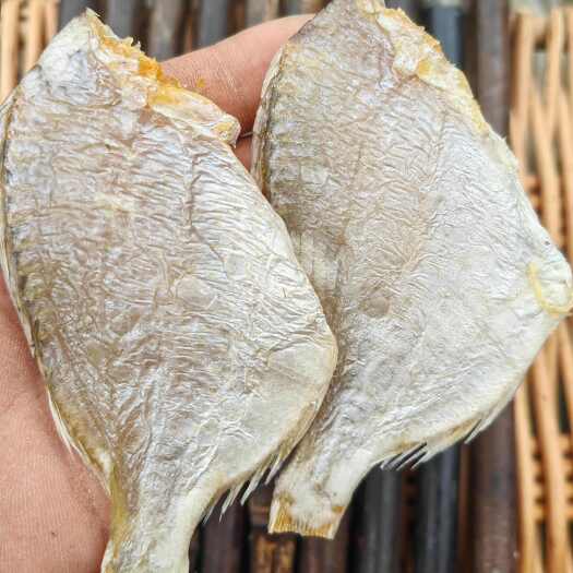 北海红鲷鱼  腊仔鱼  咸鱼干