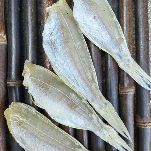 北海金丝红杉鱼干