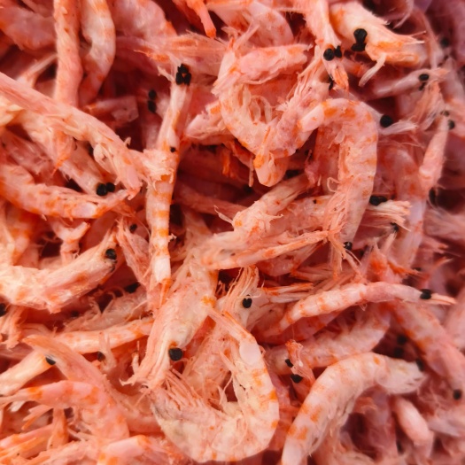 磷虾，南极磷虾，磷虾皮，规格齐全，一件也是批发价