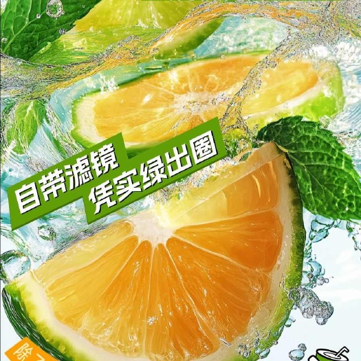 海南琼中山地绿橙新鲜直供