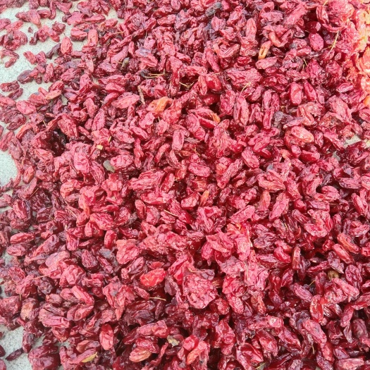 西峡县山茱萸