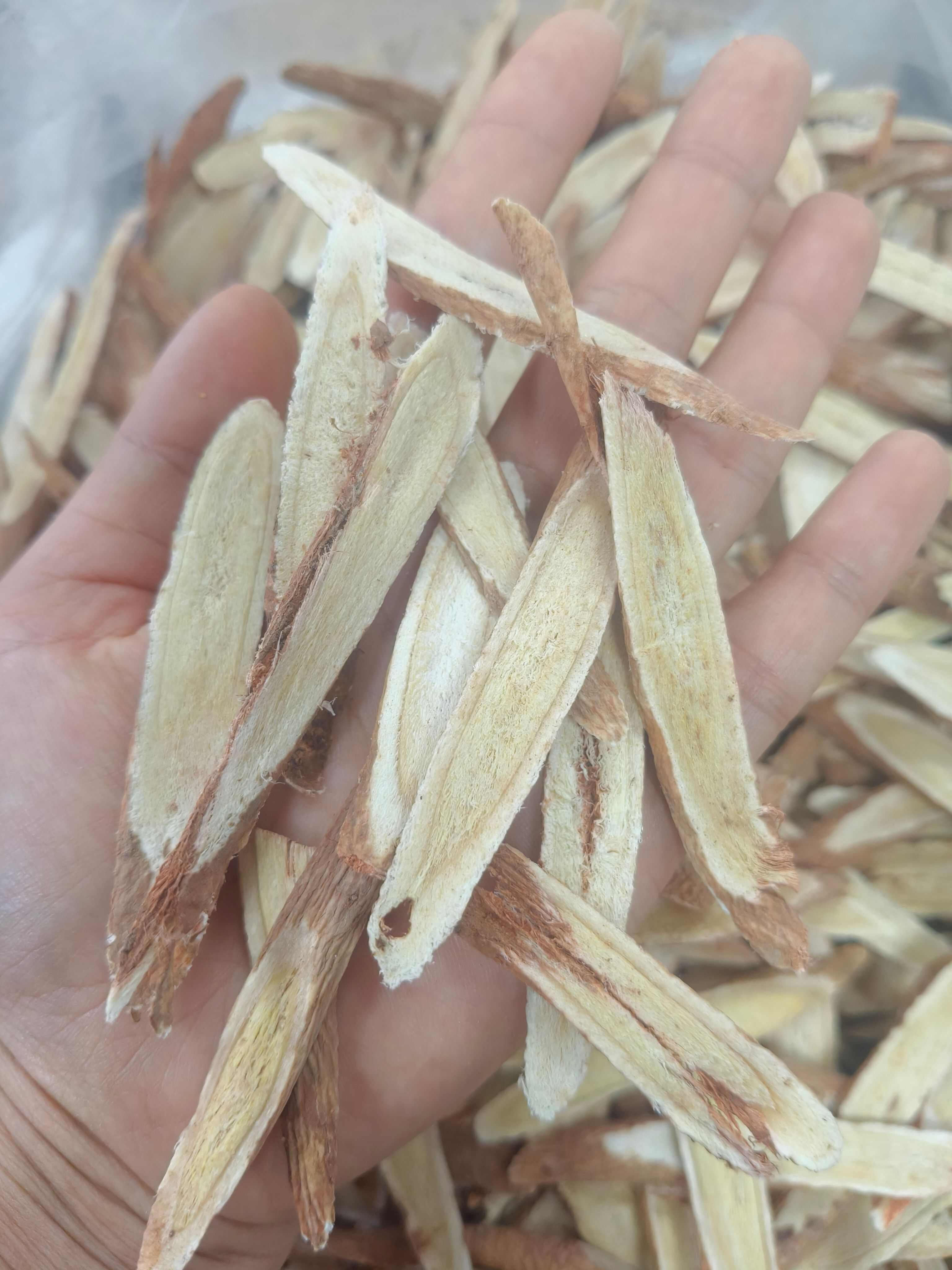 黄芪  红芪滋补佳品 泡茶炖汤